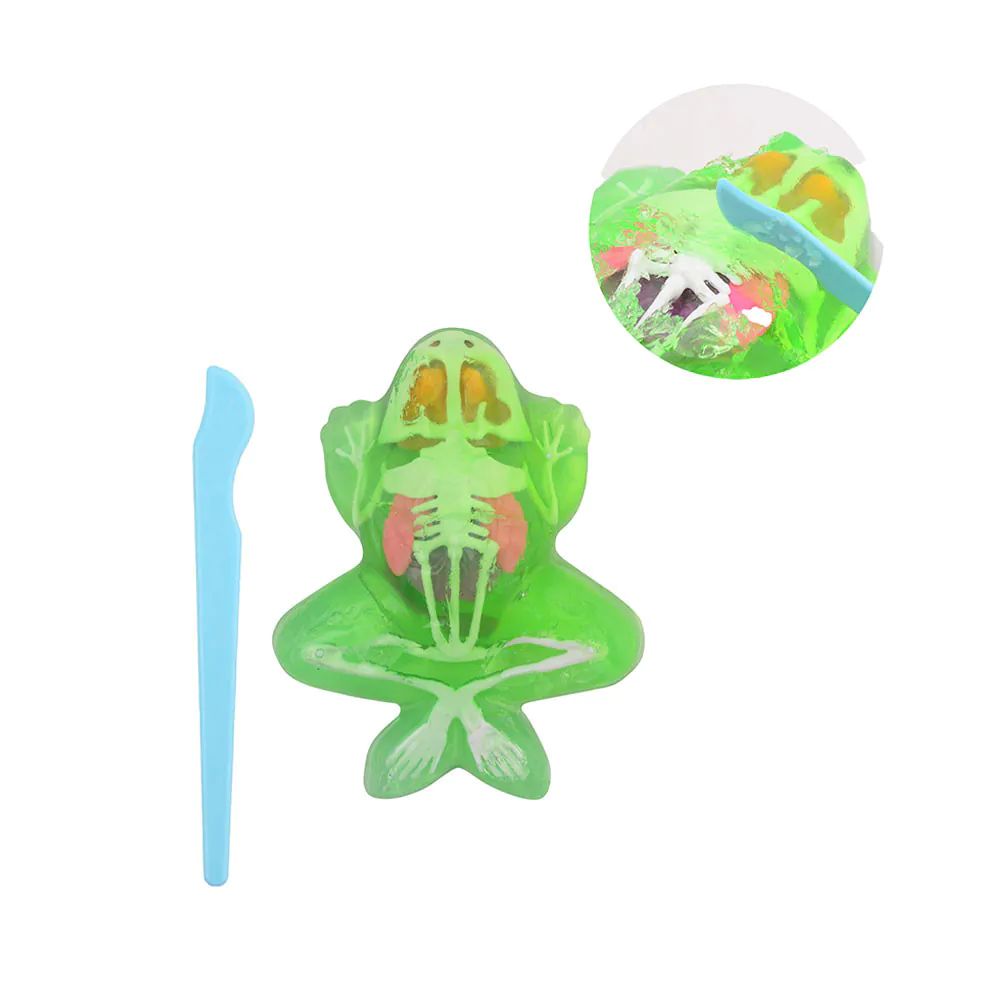 Set de joaca Disectie Broasca din slime - poza 1