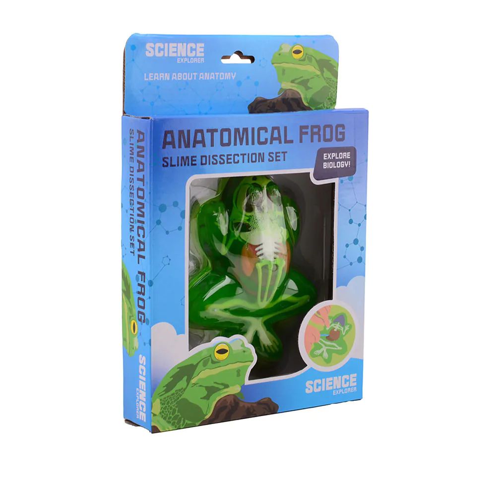 Set de joaca Disectie Broasca din slime - poza 2