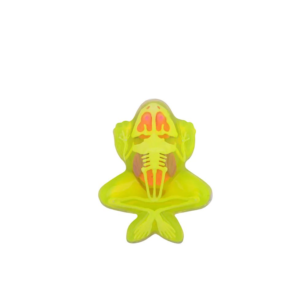 Set de joaca Disectie Broasca din slime - poza 3