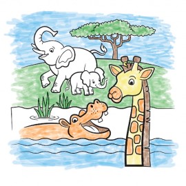 Set de pictura cu apa - Safari - poza 2