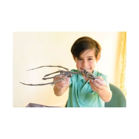 Set educativ Sapa si descopera Dinozauri - Pteranodon - poza 4