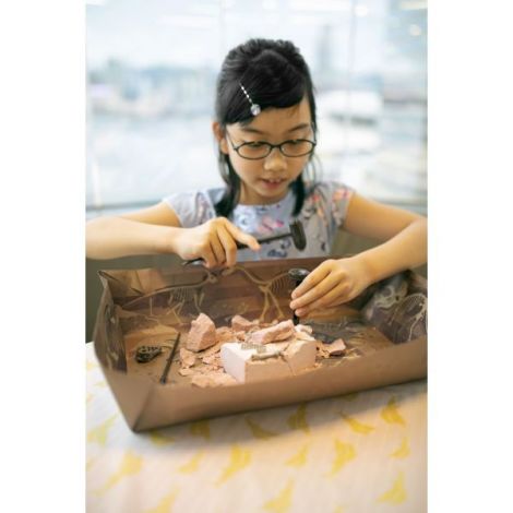Set educativ Sapa si descopera Dinozauri - Stegosaurus - poza 5
