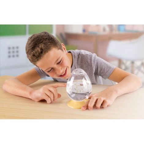 Set educativ STEM - AQUA DRAGONS Habitat Jurassic Time Travel EGGspress - poza 3