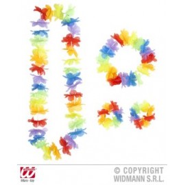 Set hawaii multicolor