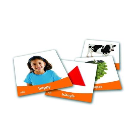 Set imagini vocabularul de baza - poza 2