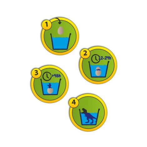 Set oua de jucarie pentru copii cu dinozauri care eclozeaza in apa - poza 2
