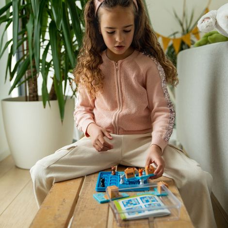 Smart Games - Cats and Boxes, , joc de logica cu 60 de provocari, 7+ ani, editie lb. Romana - poza 5