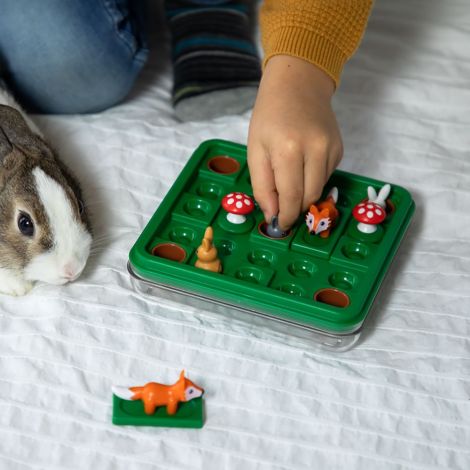 Smart Games - Jump'In, joc de logica cu 60 de provocari, 7+ ani, editie lb. Romana - poza 3
