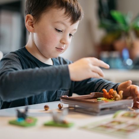 Smart Games - Squirrels Go Nuts!, joc de logica cu 80 de provocari, 6+ ani, editie internationala - poza 4