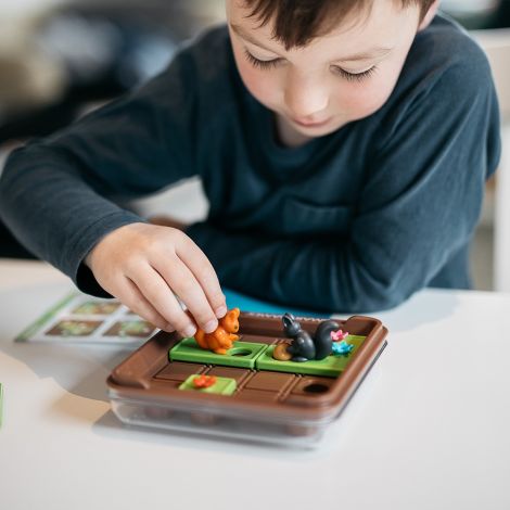 Smart Games - Squirrels Go Nuts!, joc de logica cu 80 de provocari, 6+ ani, editie internationala - poza 5