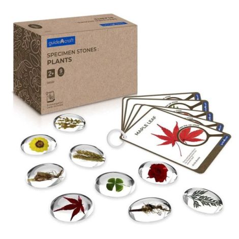 Specimen Stones, pietre din acril cu plante, Guidecraft - poza 1