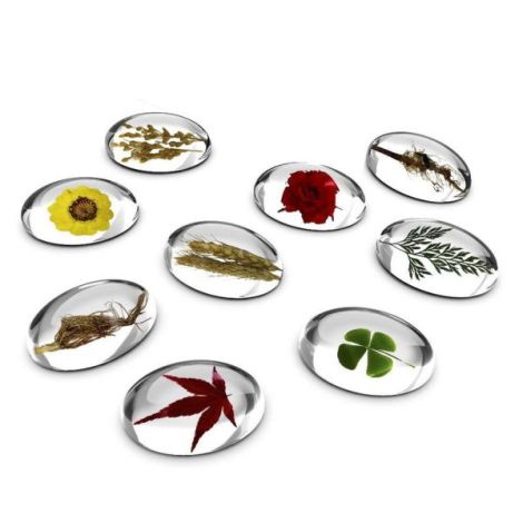 Specimen Stones, pietre din acril cu plante, Guidecraft - poza 5