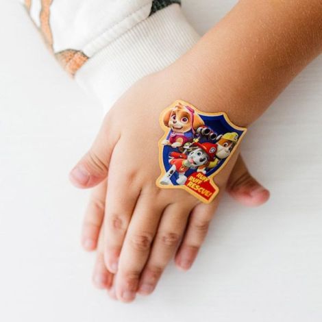 Super set abtibilduri Paw Patrol, Patrula Catelusilor - poza 5