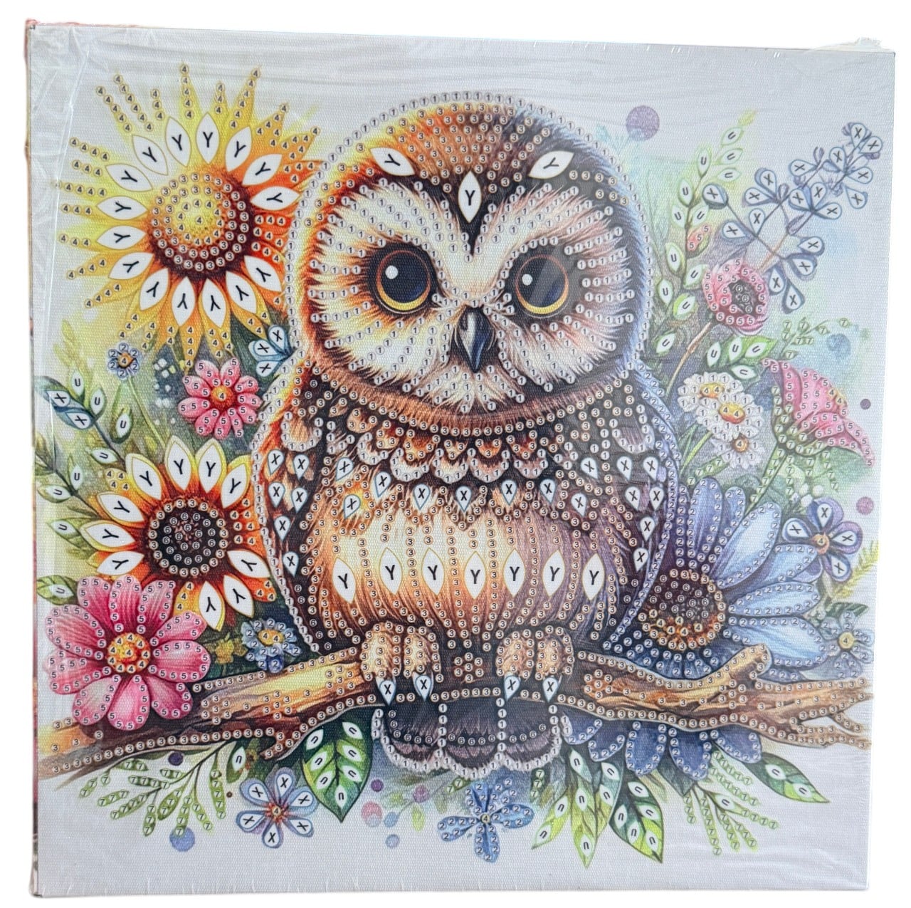 Tablou YY91, Bufnita, cu Diamante, cu Umplere partiala, cu rama, 25x25 cm