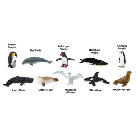 TUB 10 FIGURINE ANTARCTICA - poza 3