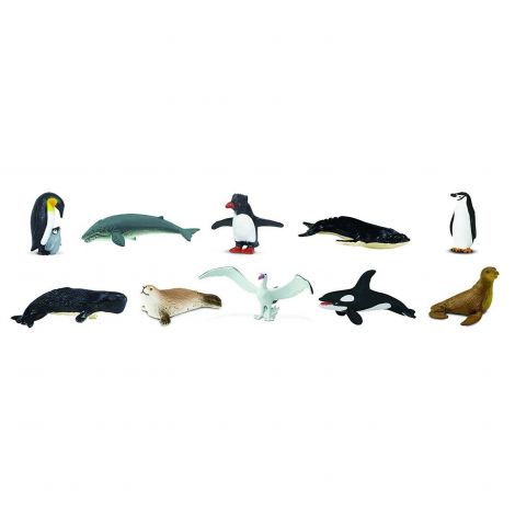TUB 10 FIGURINE ANTARCTICA - poza 4