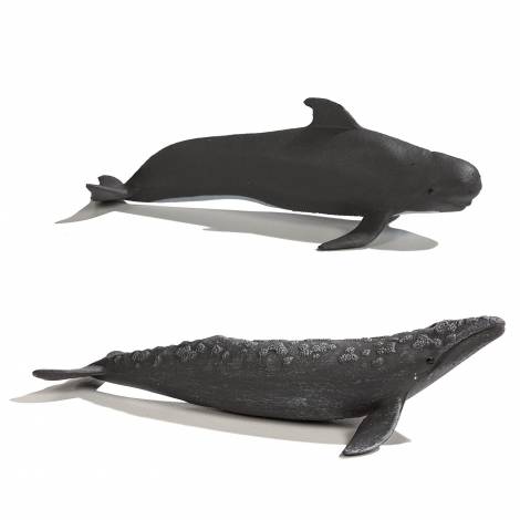 Tub 10 figurine balene pictate manual - poza 2