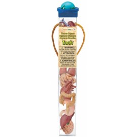 Tub 8 figurine - Organele corpului - poza 3