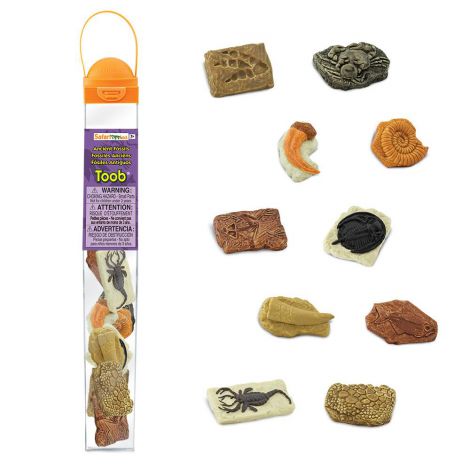Tub cu figurine Fosile antice - poza 1