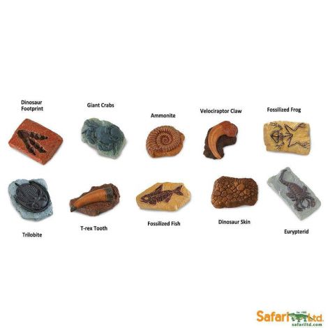 Tub cu figurine Fosile antice - poza 3