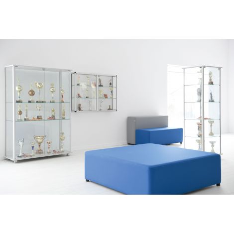 Vitrina mare pentru expunere materiale didactice, instrumentar, trofee - poza 3