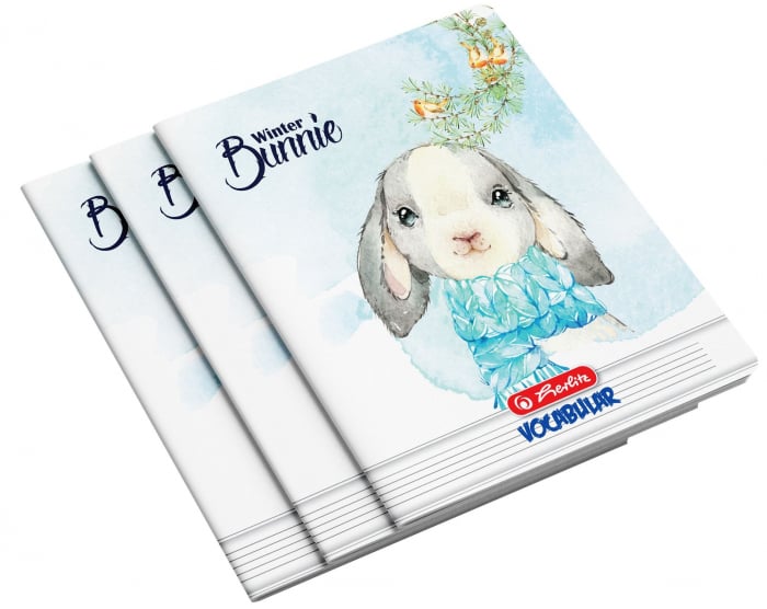 Vocabular A6 Herlitz, 24 file, diverse modele