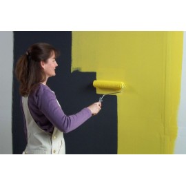 Vopsea cu proprietati magnetice 5 L - MagnetPaint - poza 5